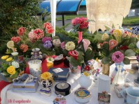 /album/galleria-fotografica/p1010138-jpg/